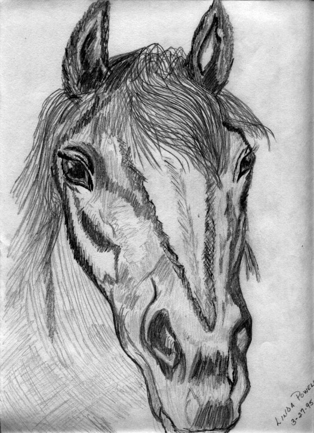 horseface.jpg